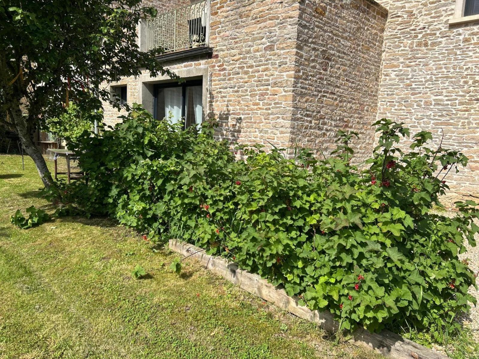 Appartement 3 Etoiles Tout Confort Et Spacieux En Campagne Bourguignonne Mancey Dış mekan fotoğraf